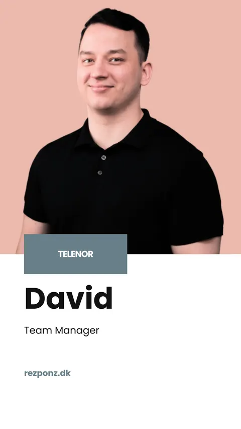 David — Team Manager, TELENOR